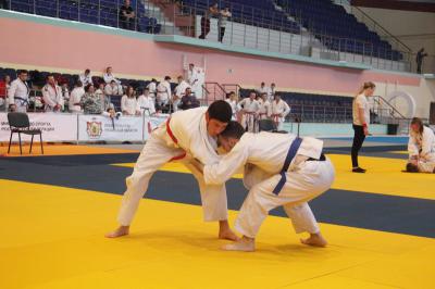В Рязани в Академии единоборств стартовали соревнования по джиу-джитсу